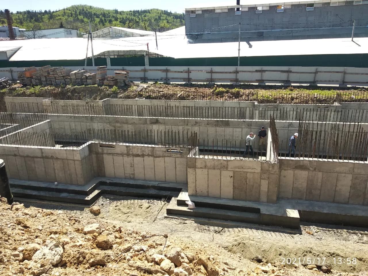 Смородина